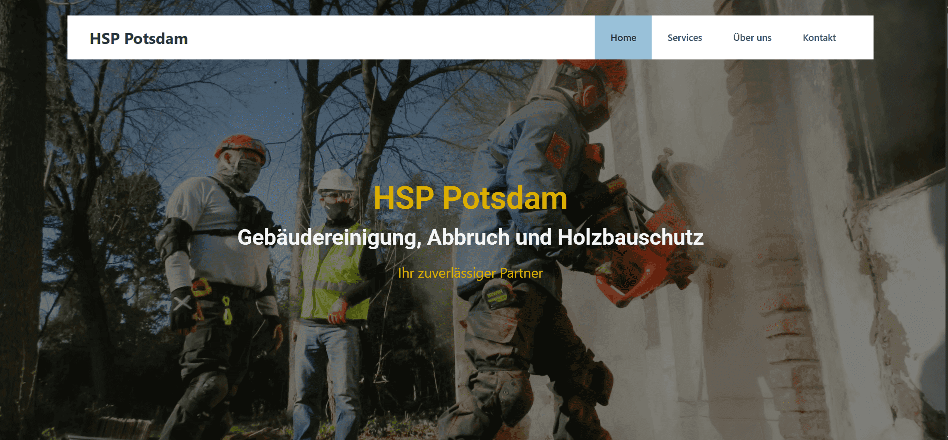 HSP Potsdam project screenshot